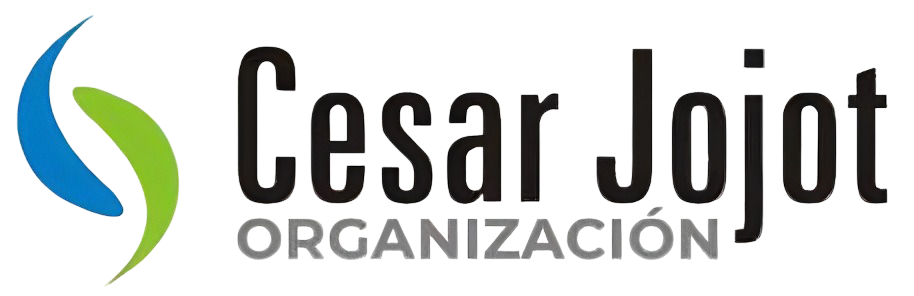 Cesar Jojot Organización de Seguros